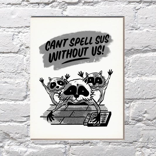 Sus Raccoons