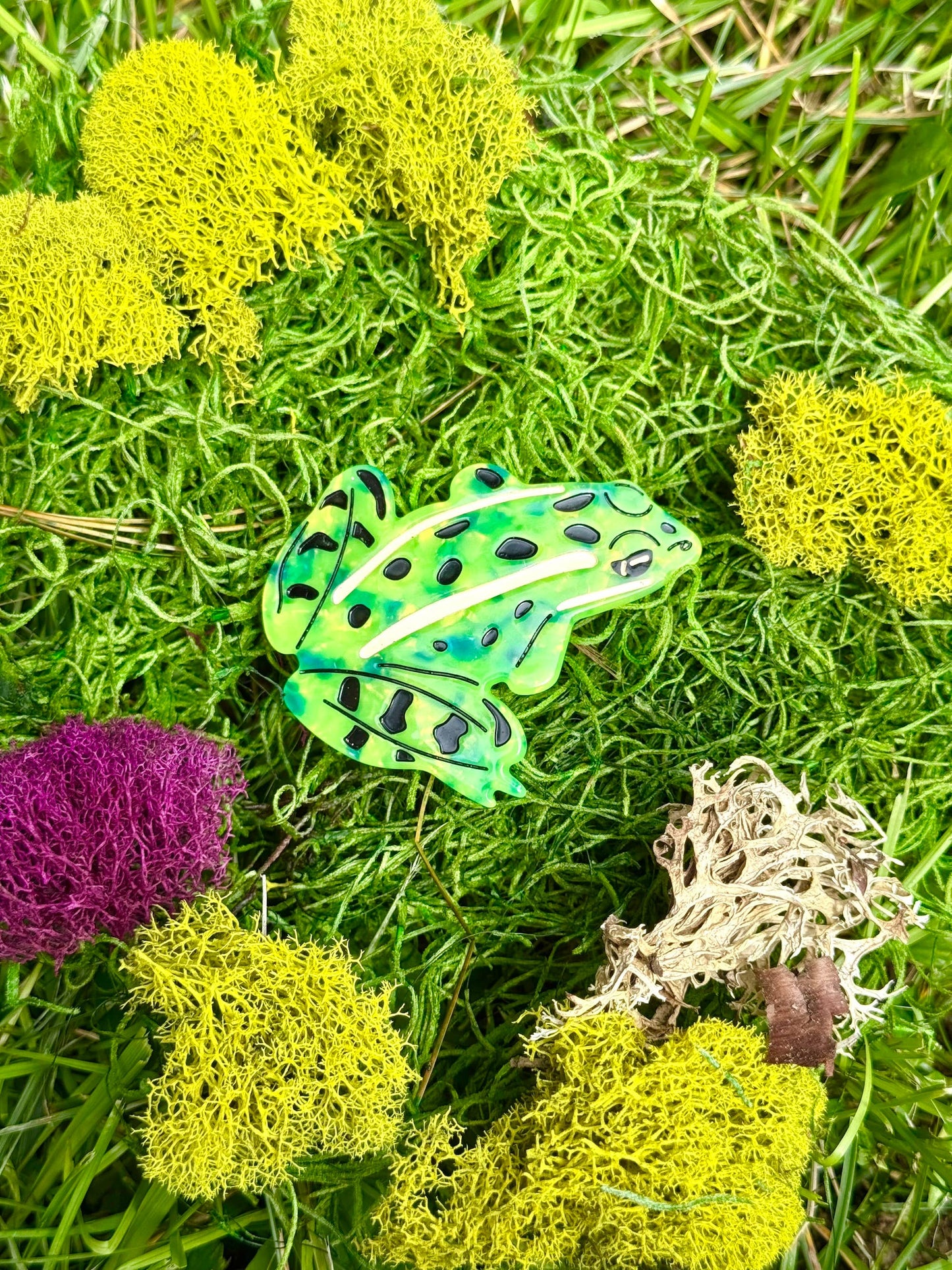 Leopard Frog French Hair Clip
