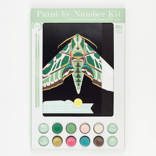 Banded Sphinx Moth Paint-by-Number Kit