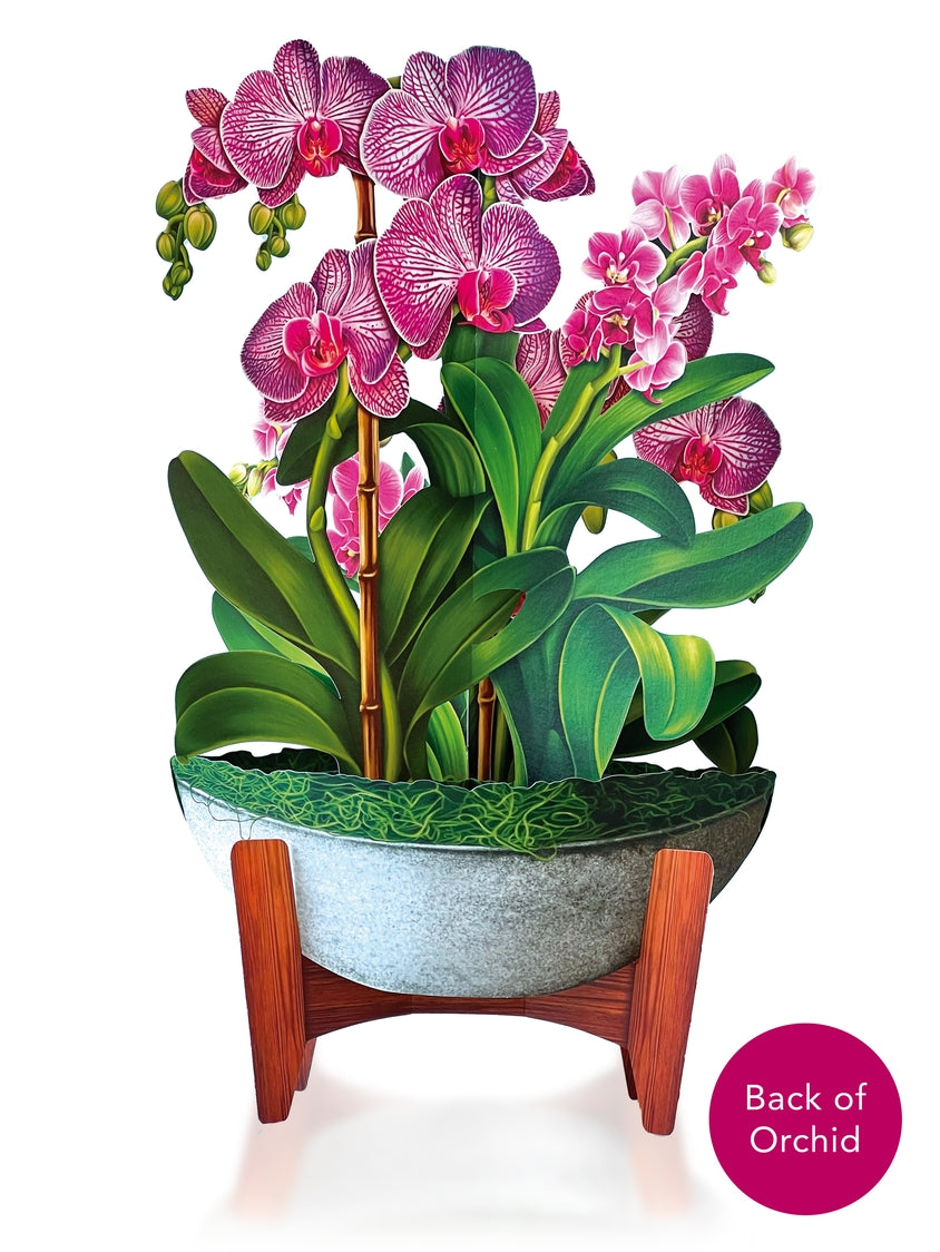 Orchid Oasis Pop-Up Greeting Card