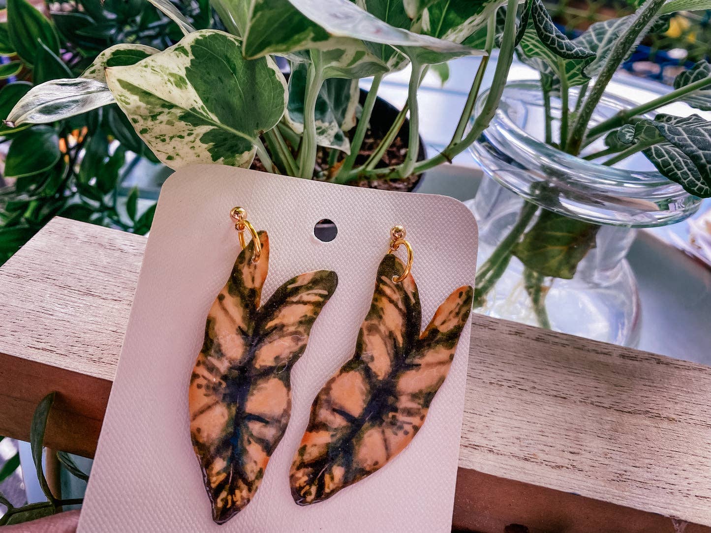 Variegated Billietiae Plant Leaf Earrings