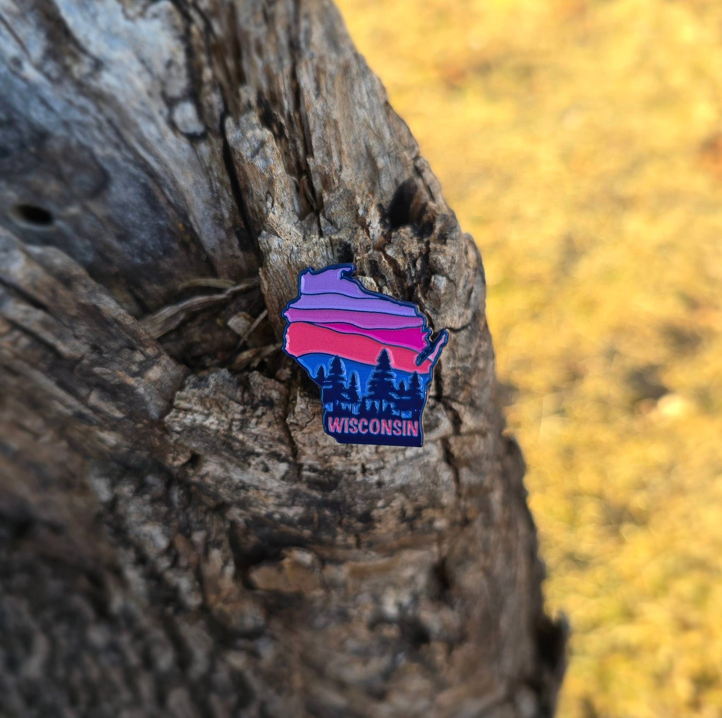 Wisconsin state enamel pin