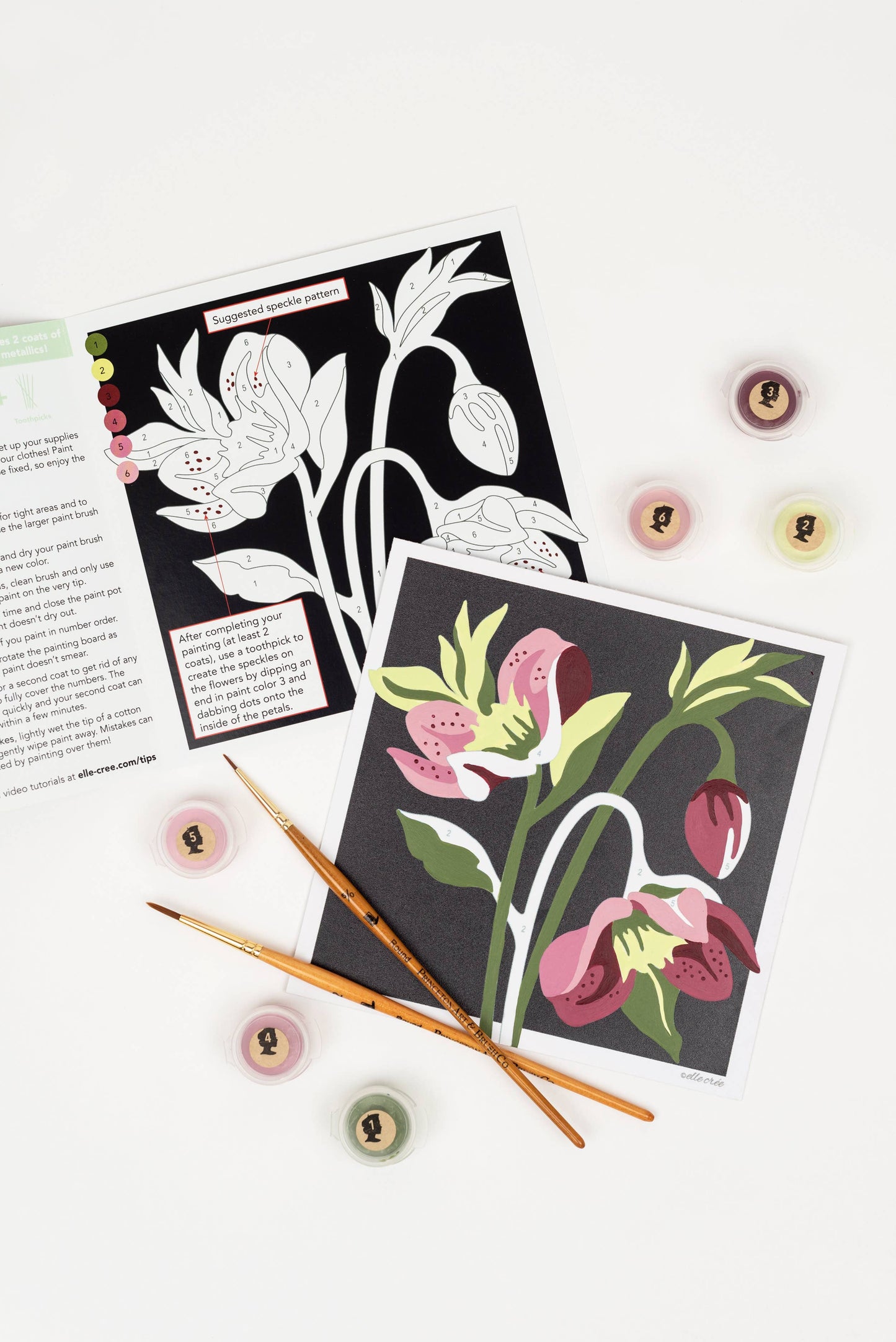 Hellebores MINI Paint-by-Number Kit