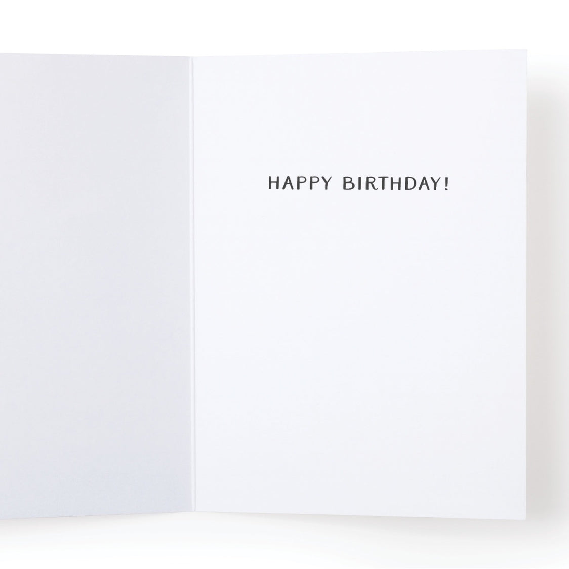 Hey There, Party Animal! Greeting Card