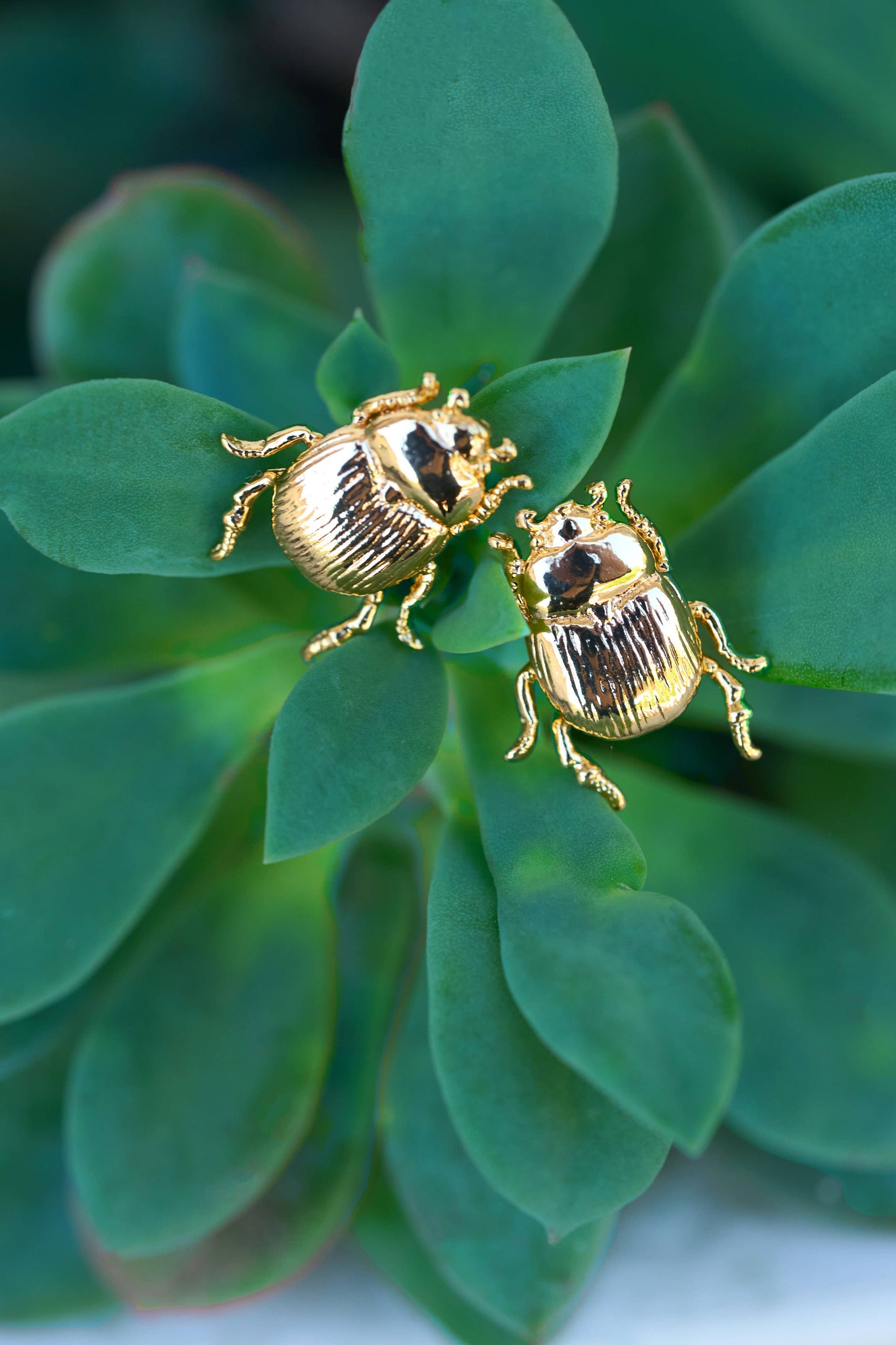 Fortune Beetle Studs -18K Gold Plated or Silver Rhodium