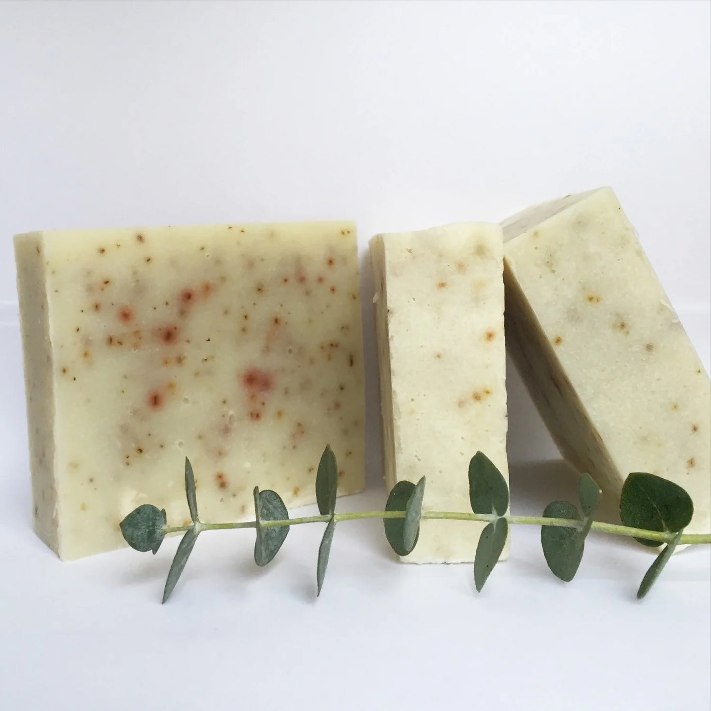 Fern & Nettle Eucalyptus + Mint soap