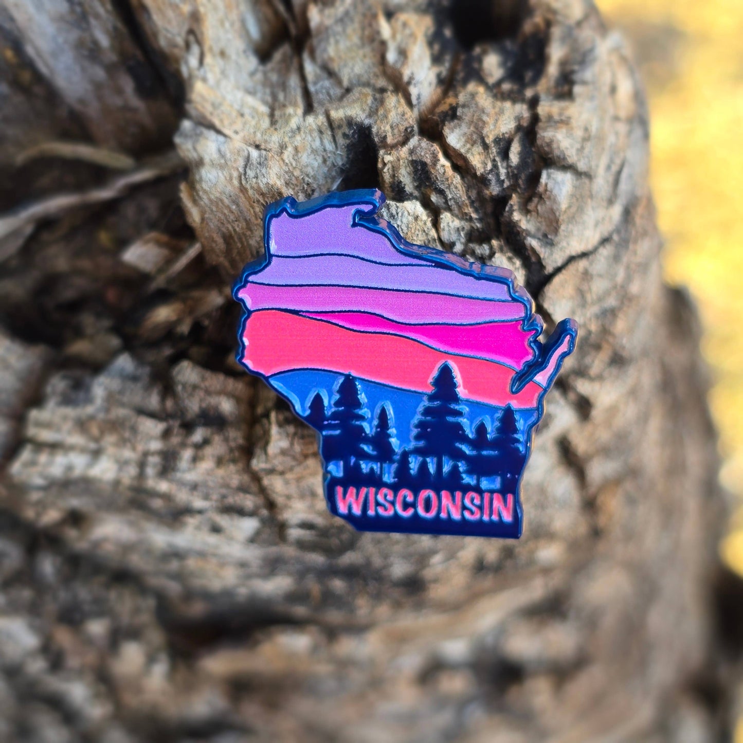 Wisconsin state enamel pin