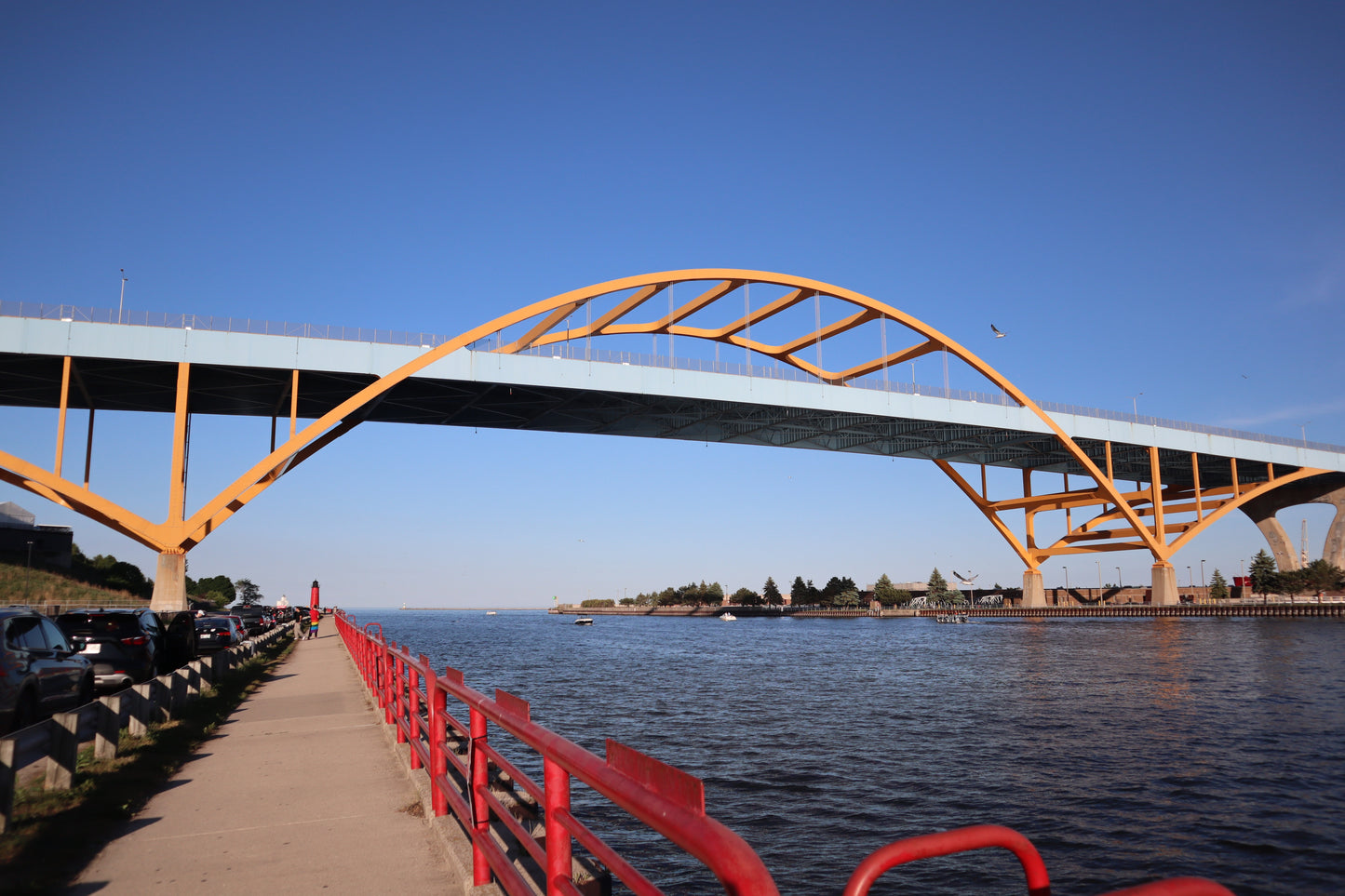 Hoan x MKE Flag