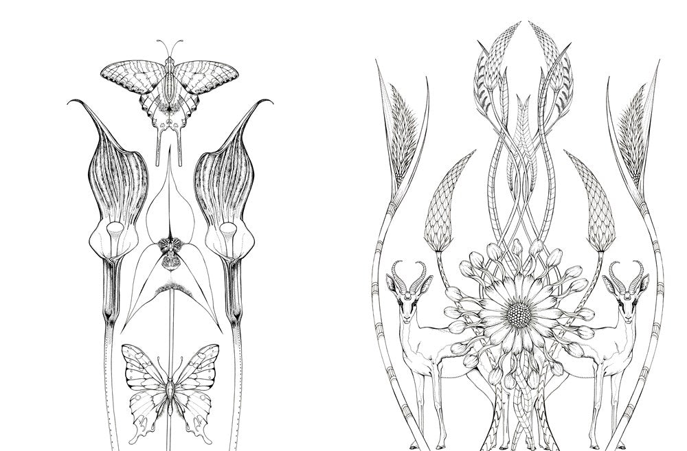 Into The Wild Coloring Book