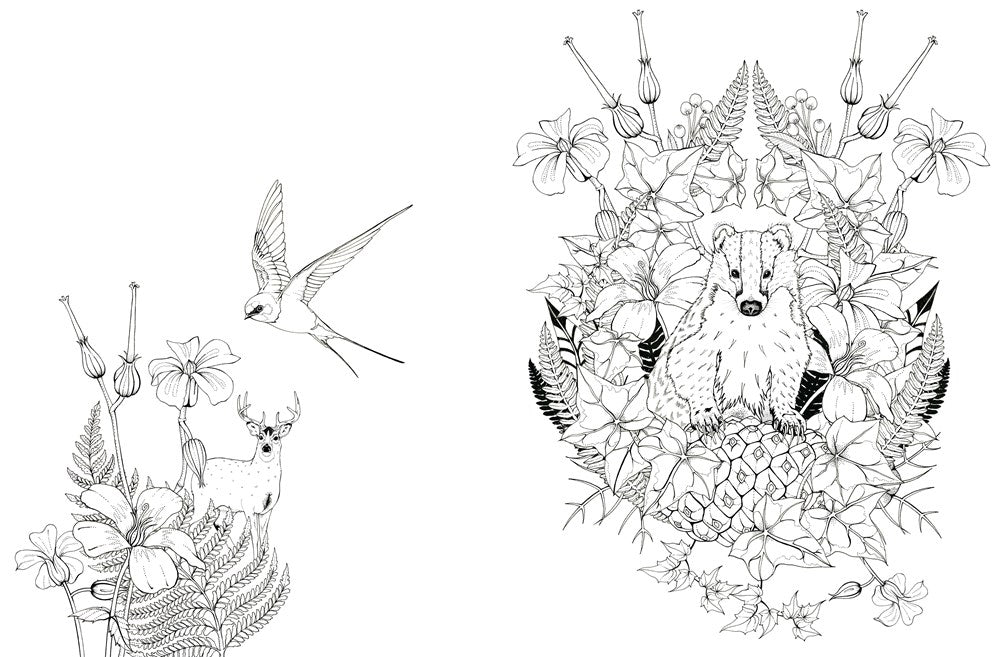 Into The Wild Coloring Book