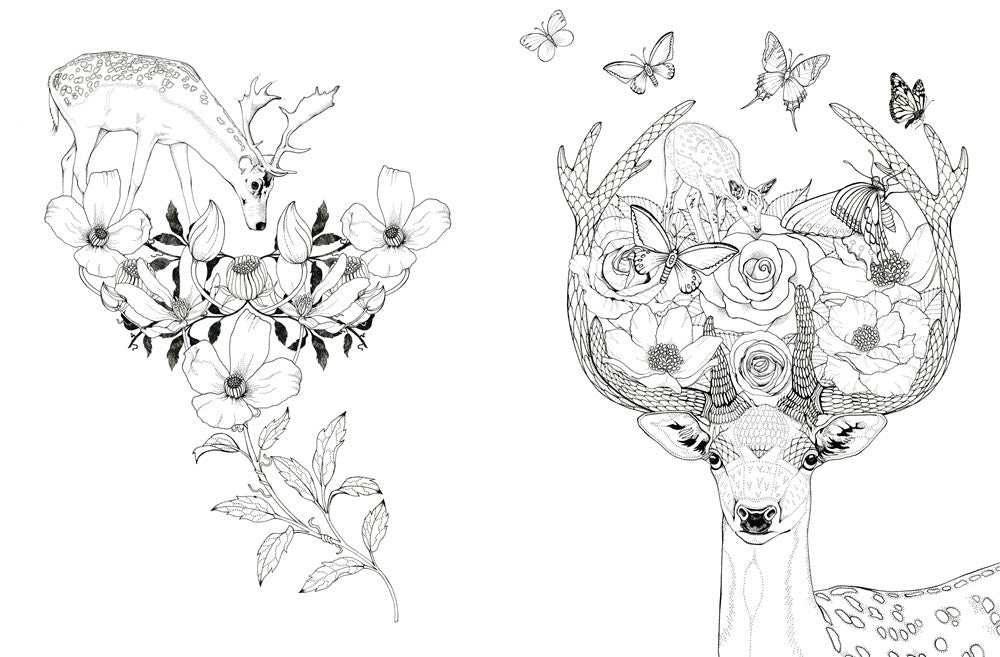 Into The Wild Coloring Book