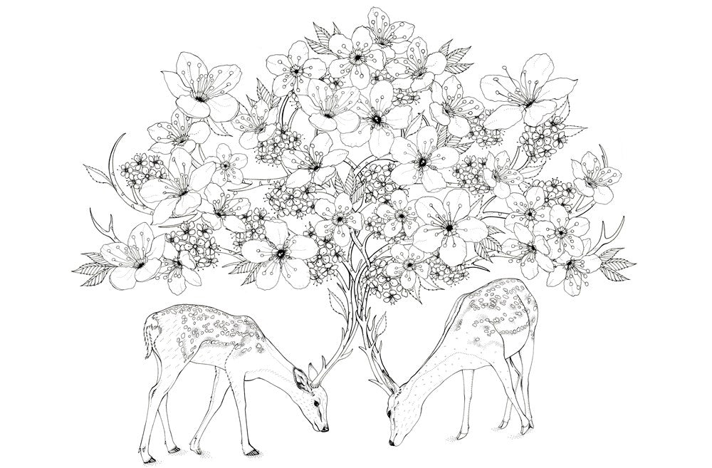 Into The Wild Coloring Book