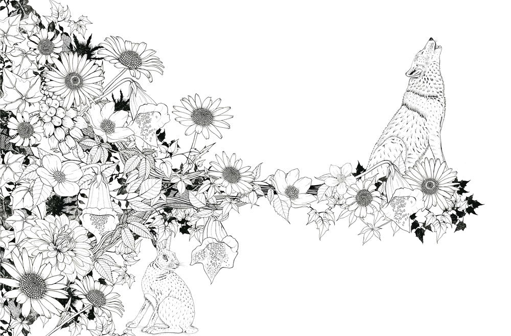 Into The Wild Coloring Book