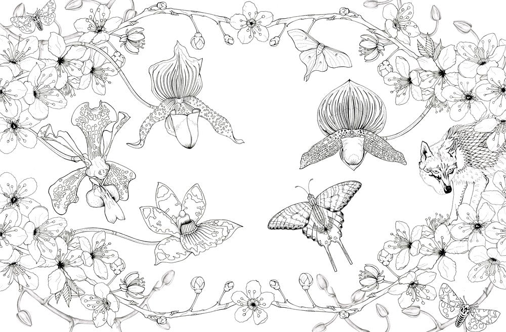Into The Wild Coloring Book