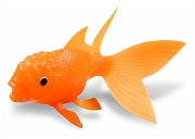 Koi Toy Light Up Goldfish