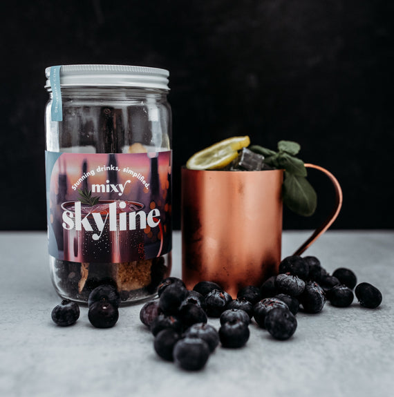 Skyline Mixy 32oz Craft Cocktail Kit