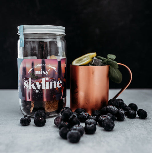 Skyline Mixy 32oz Craft Cocktail Kit