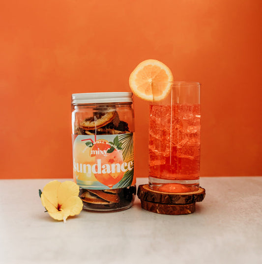 Sundance Mixy 32oz Craft Cocktail Kit