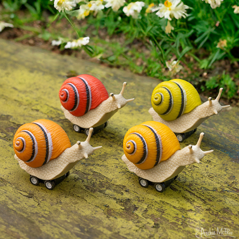 Racing Snails