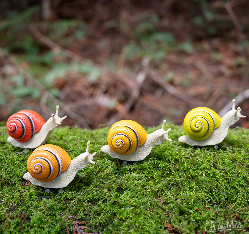 Racing Snails