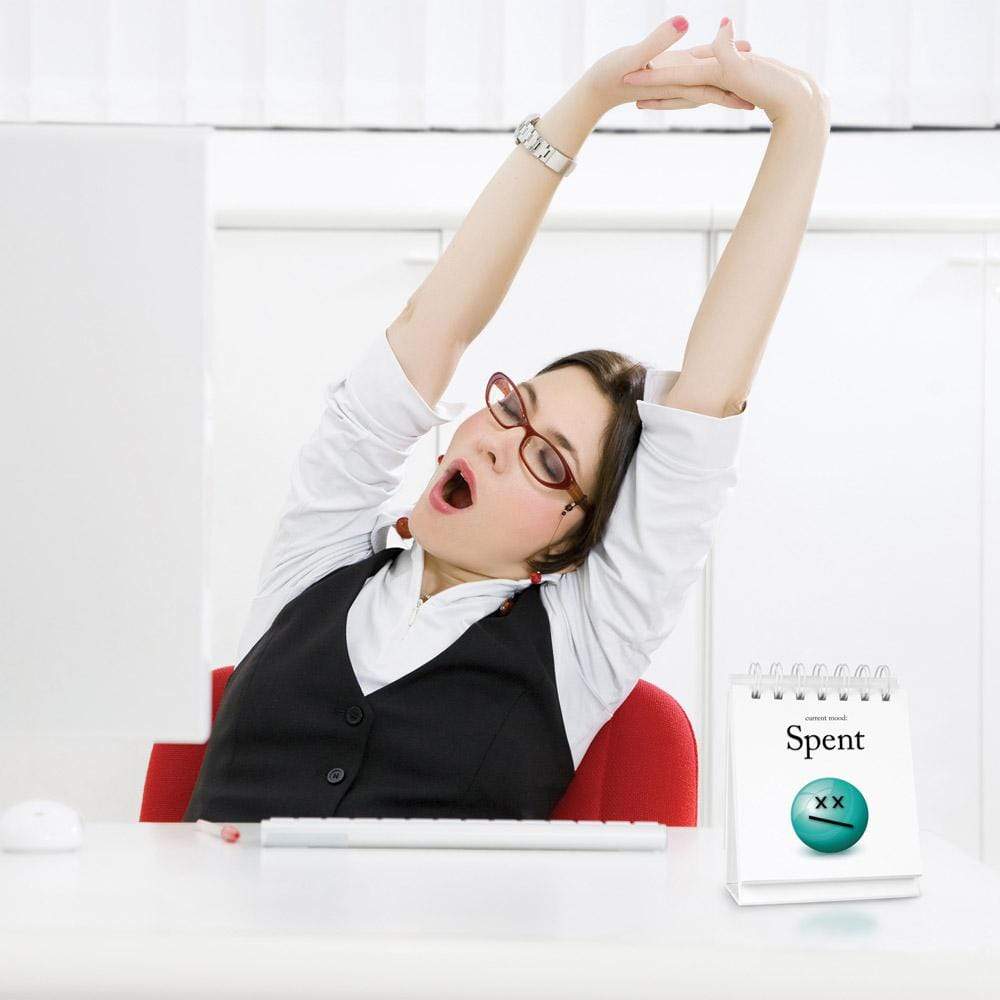 Daily Mood Desktop Flip Book